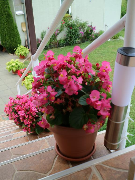 Apartment Luka Kuterevo 외부 사진